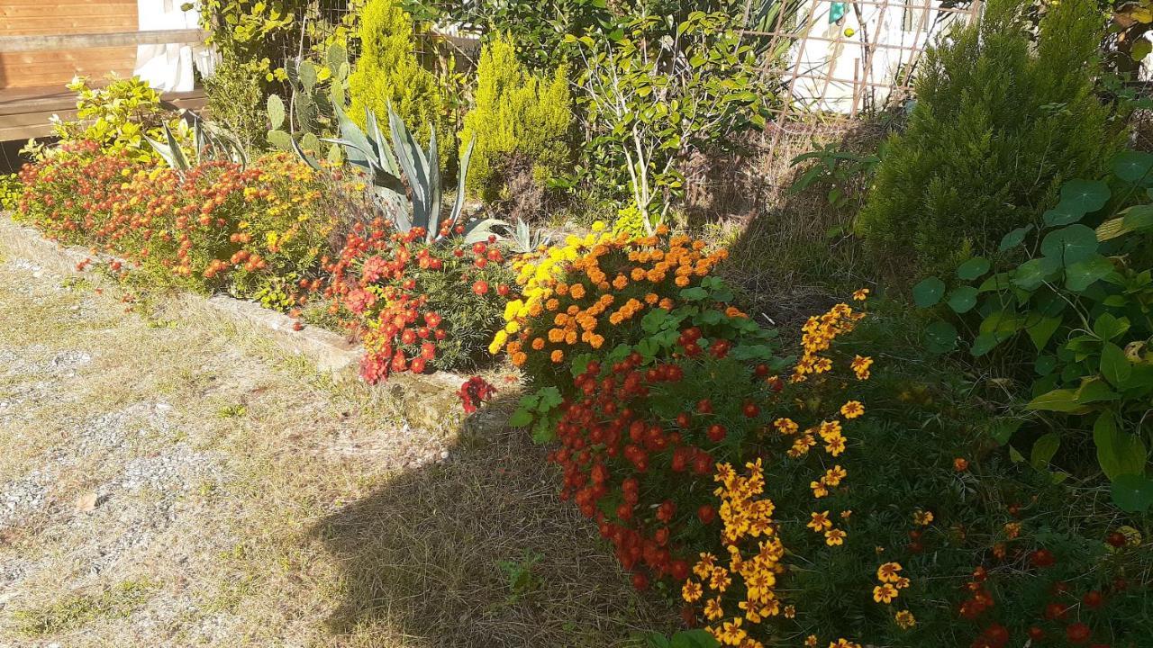 Guest House Ahan Гагра Екстер'єр фото