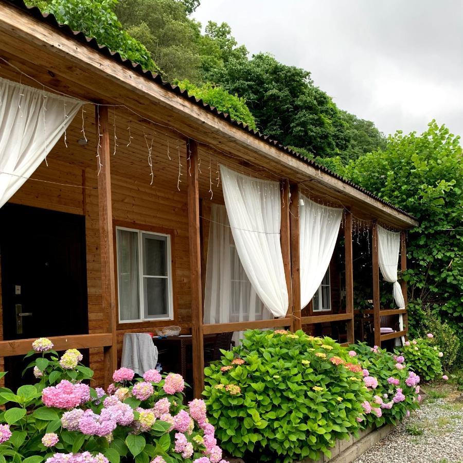 Guest House Ahan Гагра Екстер'єр фото