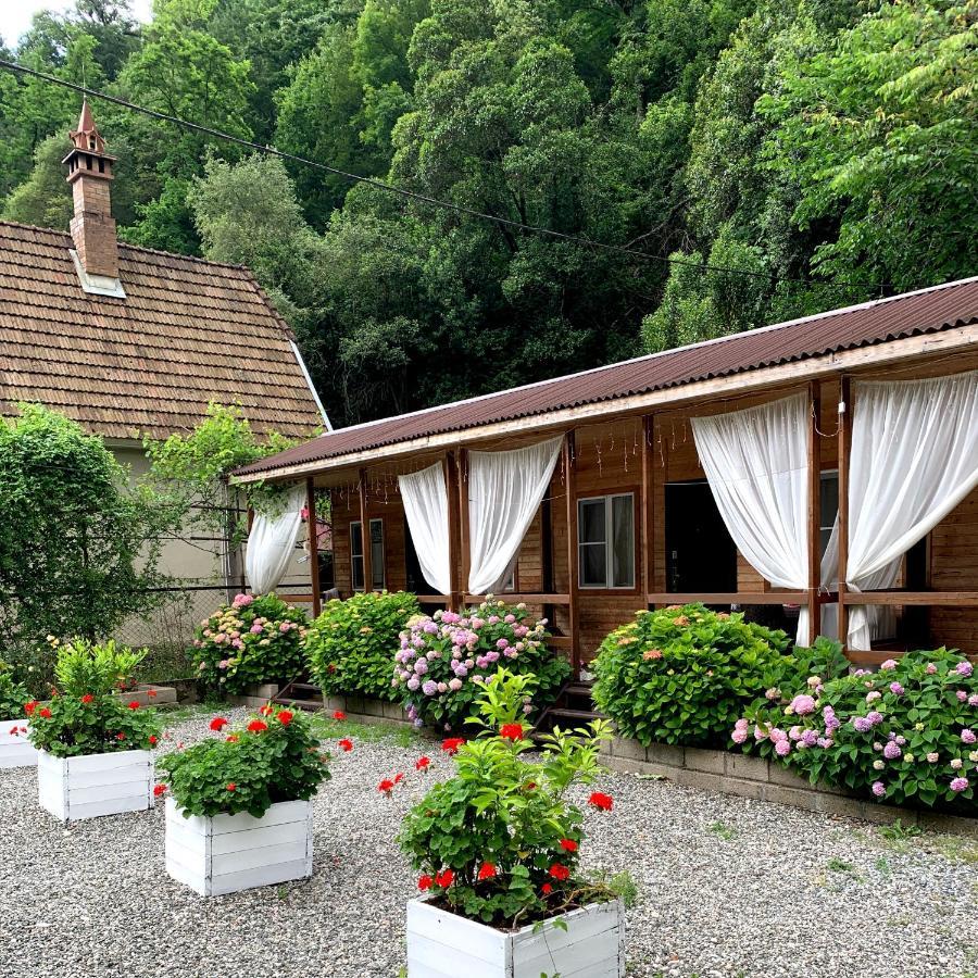 Guest House Ahan Гагра Екстер'єр фото